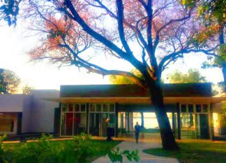 Los museos de Bellas Artes y Ciencias Naturales reabren sus puertas al público