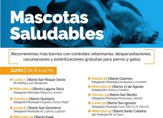 Continua el programa “Mascotas Saludables”