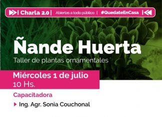 Taller virtual abierto y gratuito sobre plantas ornamentales