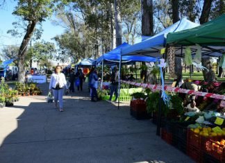 Con productos de calidad, las Ferias de la Ciudad llegarán a diferentes barrios y plazas céntricas