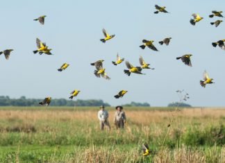Se llevó a cabo una reunión informativa sobre situación y perspectivas del sector Turístico