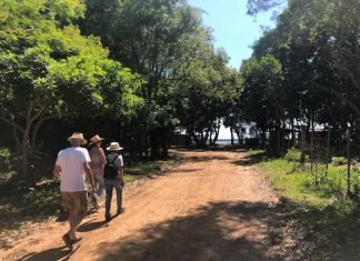 Isla Apipé Grande organiza su oferta turística integral