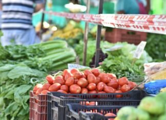 Las Ferias de la Ciudad recorrerán distintos barrios, plazas y paseos céntricos