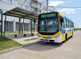 Habrá colectivos gratuitos para ir a votar este 14 de noviembre