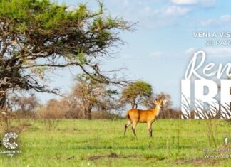 La actividad turística genera más de 30 mil puestos de trabajo en la provincia de Corrientes