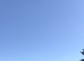 Artesanos del Iberá: se realizó en Chavarría un taller de cestería en espartillo y palma