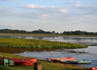 Caá Catí: paraíso natural que enlaza cultura, historia y turismo