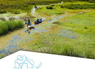 Chamamé, carnaval, gastronomía y naturaleza, la propuesta correntina de promoción en Pinamar