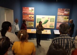 Continúa con gran éxito el programa turismo social en Corrientes