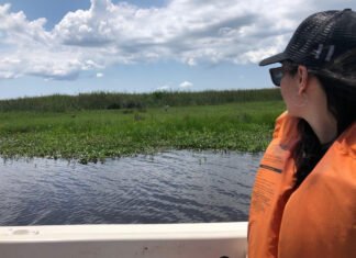 Preparan un Programa de beneficios para la compra anticipada de viajes y servicios turísticos