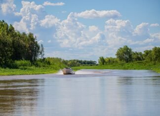 La Fiesta Nacional del Pacú convoca a visitantes y fortalece el turismo en Esquina