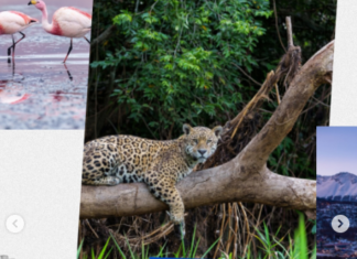 Iberá fue recomendado en la Guía Lonely Planet