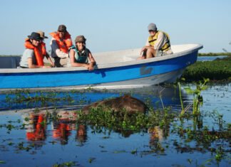 El Iberá duplicó el número de turistas en 10 años y el 90% son argentinos