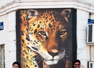 Así es el mural del Yaguareté de Santa Lucía