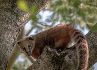 Abrieron la inscripción al VI Encuentro Nacional de Reservas Naturales Privadas