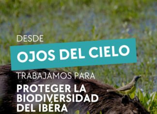 Día Mundial de la Vida Silvestre: ciclo de capacitaciones 2026 para proteger la biodiversidad del Iberá
