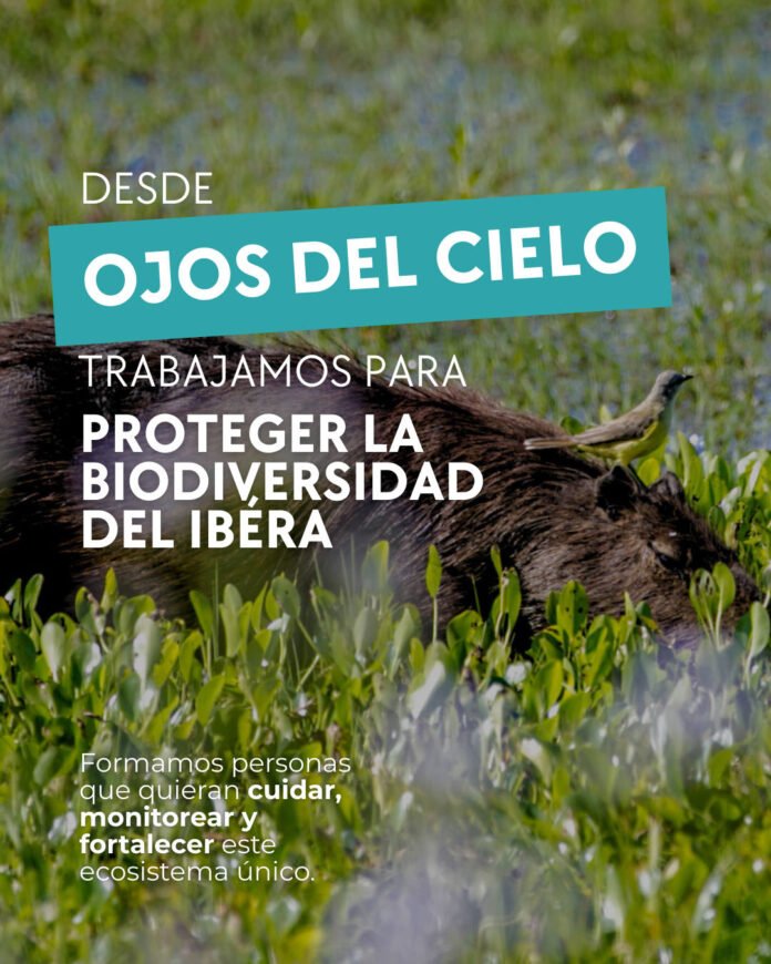 ojos del cielo fundacion yetapa