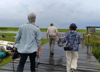 Iberá inteligente: tecnología, comunidad y futuro para proteger nuestro humedal
