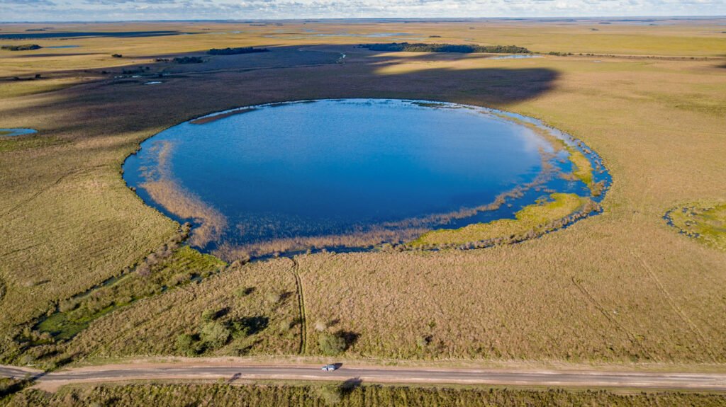 Día del Medio Ambiente: Iberá consolida su liderazgo ambiental en Corrientes