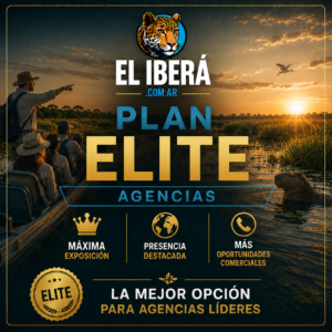 plan elite agencias
