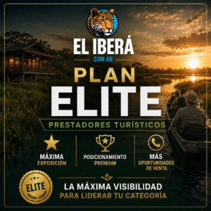 plan elite prestadores